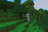 Deciduous forest with birch and apple trees