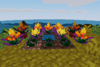 Torchflower