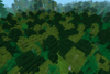 Mixed Forest 1