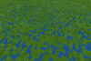 Marsh 1