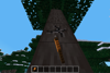 gameplay