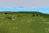 Steppe to grassland transition