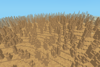 desert pillars 4
