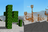 Cacti and Dry Trees