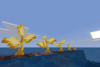 Gold Crop Growth Stages