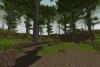 Winding path running through a calm forest with a canopy of tall trees overhead.