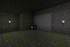 Ancient bones, undisturbed for how long...