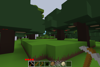 Woods