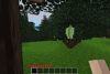Pawpaw Tree