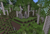 Birch Forest Ruins