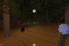 Shadow Forest
