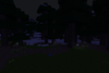 A patch of moonflowers at night.