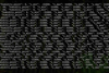 Output of the `/libpov_biome_export` command in Minetest Game