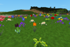 Lots of flowers