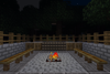 Camp Fire