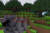 Pretty forest.