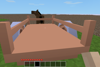 Horse with Passenger Carriage Back