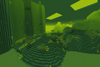 Savanna Biome