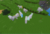 A bunch of wild Pegasi wandering