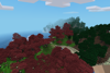 red maple