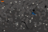 A cross-section of a world showing a smooth transition from normal stone to deepslate