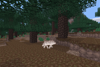 Just a wolf minding its own business in a taiga