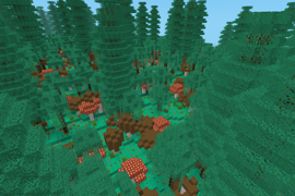 fungi forest 1