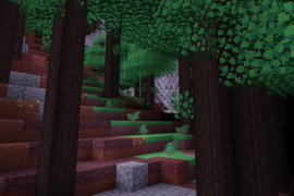 forest1