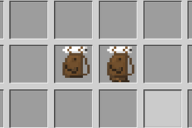 Packs