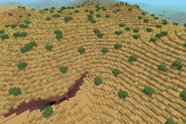 xeric shrubland #2