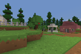 Village
