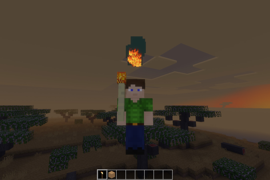 Torch Hold 3rd Person