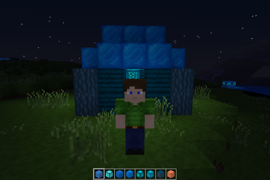 wallgoo house