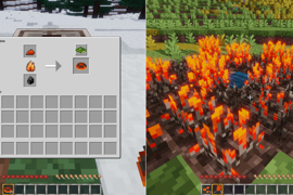 fire wheat