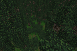 Wetlands 1