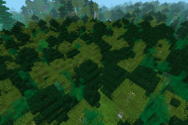 Mixed Forest 1