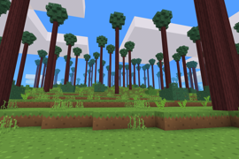 Redwood Grove