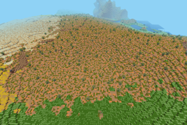 Outback 2