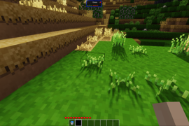 Grass
