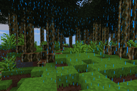 rain in a rainforest