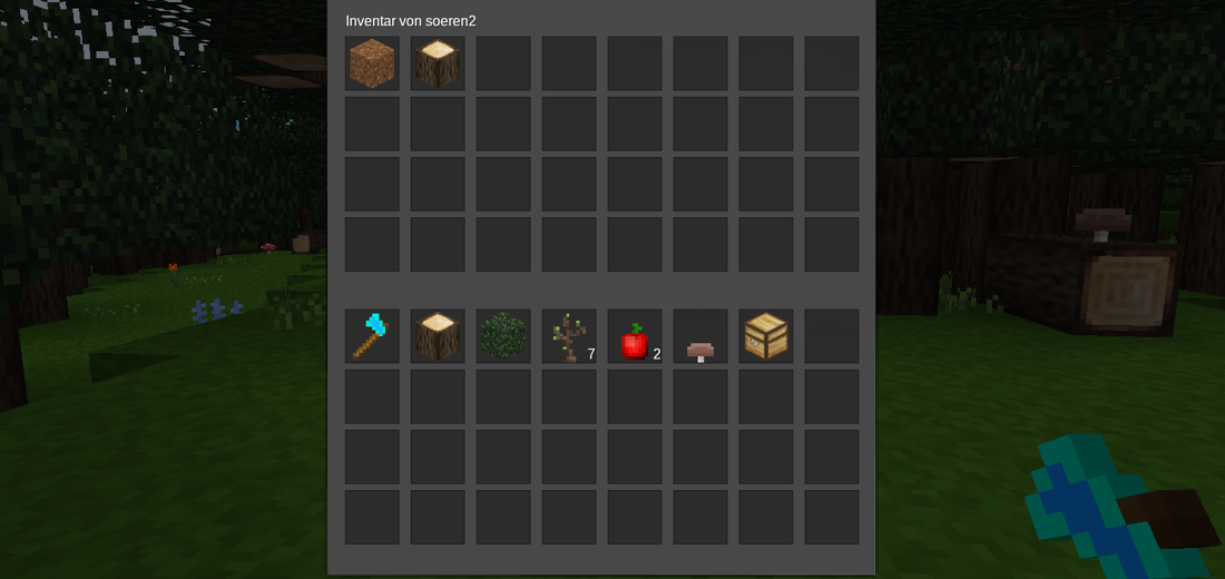 inventory  see mod screenshot