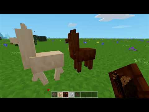 Thumbnail for video